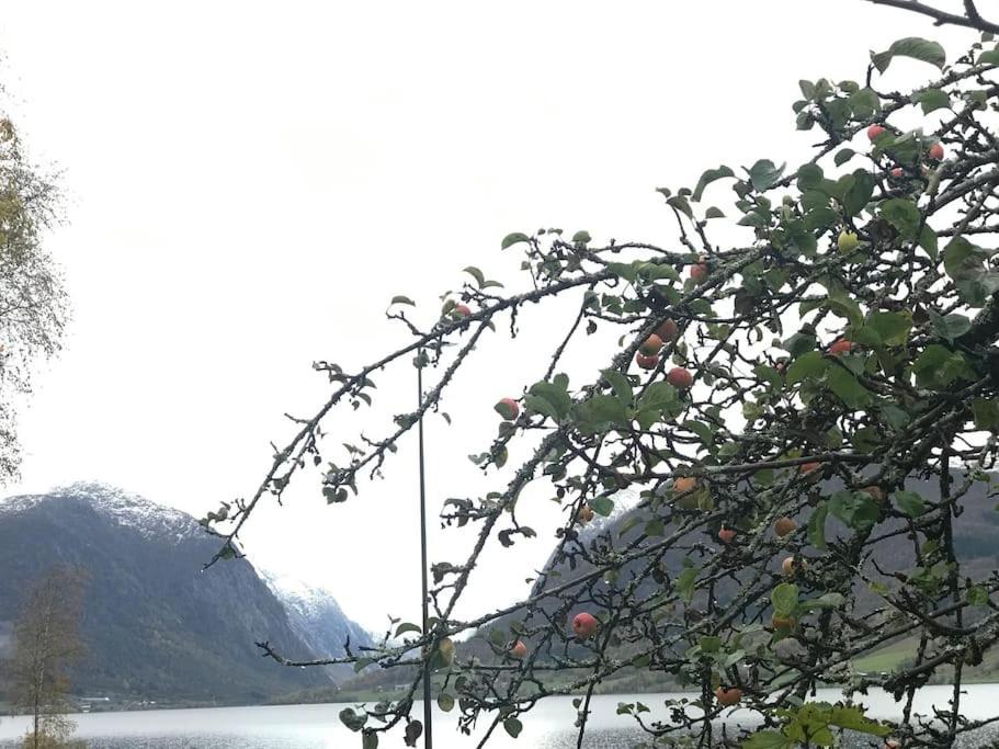 Apartment With Lake View In Jolster Årdal Esterno foto